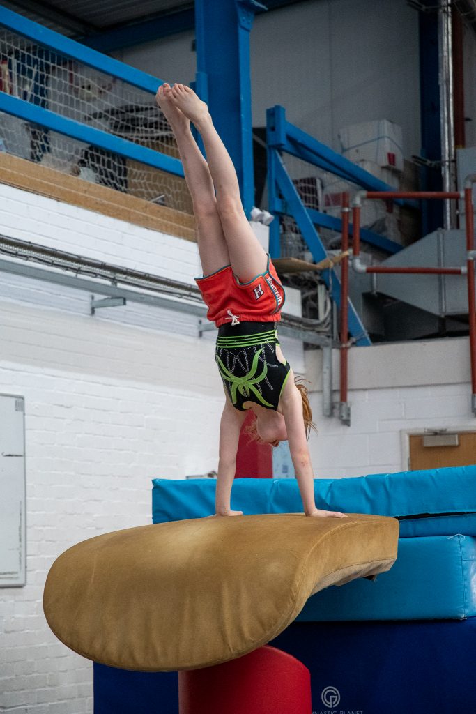 Women’s Artistic Gymnastics Basingstoke Gymnastics Club